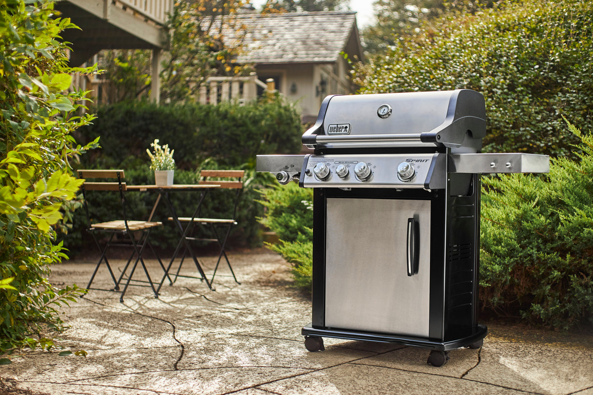 Weber Spirit